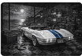 OceanZ Studio - Huntington Beach HB Pier Art Print